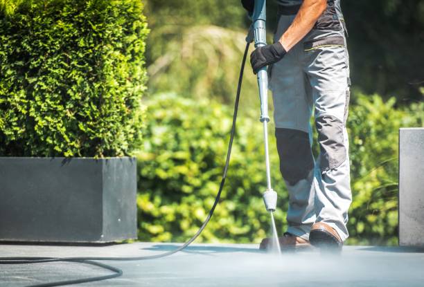 Best Solar Panel Cleaning  in Fulshear, TX
